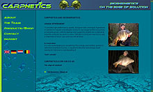 Referenzbeispiel Carpnetics.com